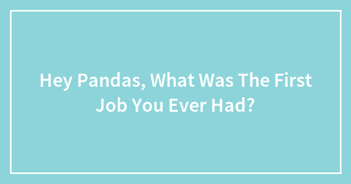 Hey Pandas, What Was The First Job You Ever Had?