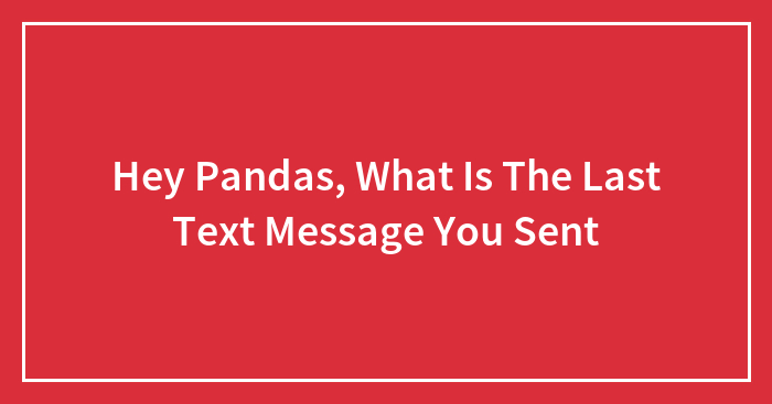 Hey Pandas, What Is The Last Text Message You Sent