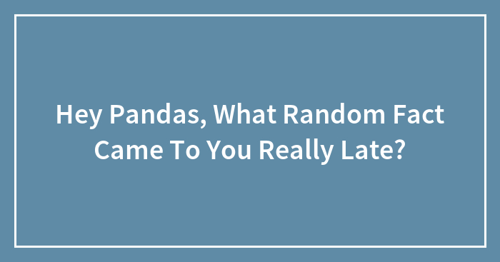 Hey Pandas, What Random Fact Came To You Really Late? (Closed)
