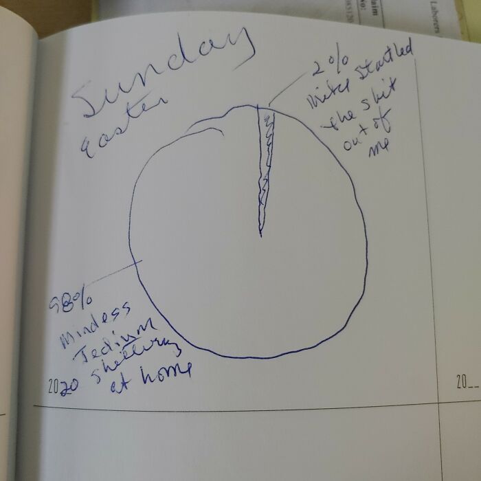 Hi Pandas, Post An Image That Humorously Sums Up Your First Six Months Of 2020