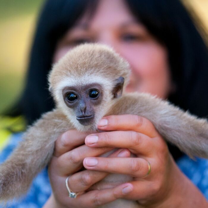 A Drama With A Happy Ending At The Skopje Zoo