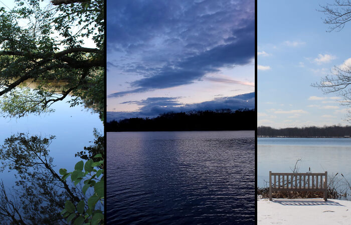 Photographer Captures Nature Through Her Lens On Early Morning Walks (5 Pics)