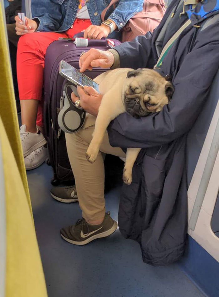 Saw This Beautiful Girl In Paris, She Was Very Tired After Traveling