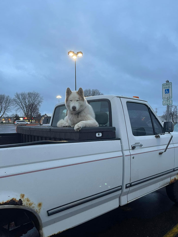 This Is Polar Bear Scared The Shit Outta Me