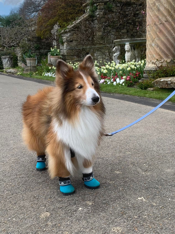 Look At This Distinguished Gentleman. Very Distinguished!