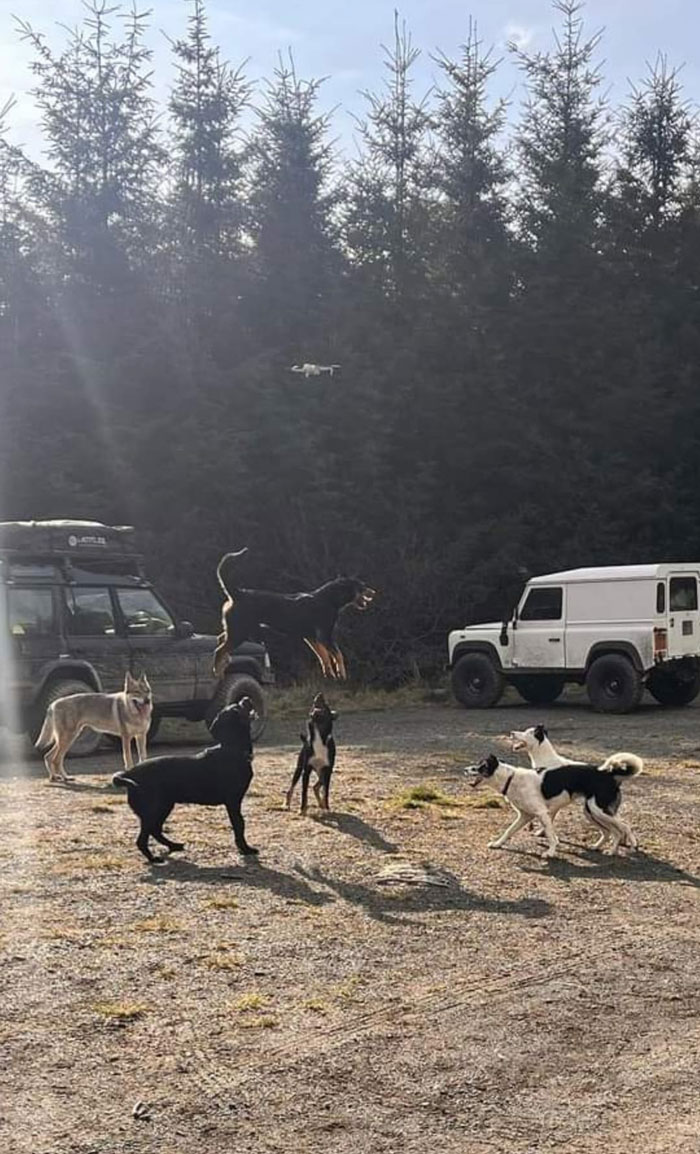 Lo que pasa en bosque, se queda en el bosque...