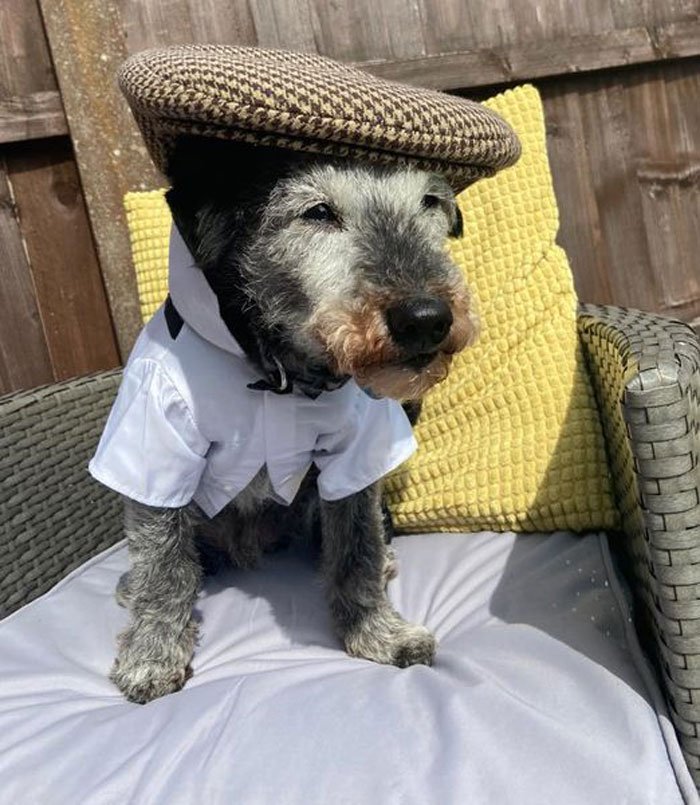 Un hombre sabio visto recordando su tiempo en la guerra ¡También es un verdadero caballero! Boris, 10 años