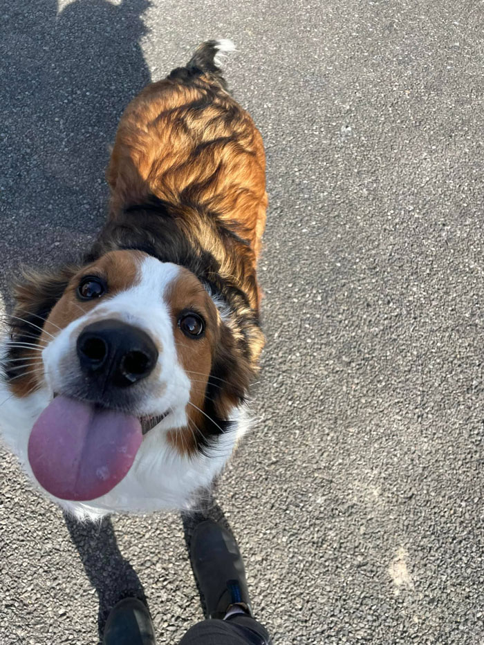 I Met Teddy At Work Today And Might Quit Just Hang Out With Him Forever