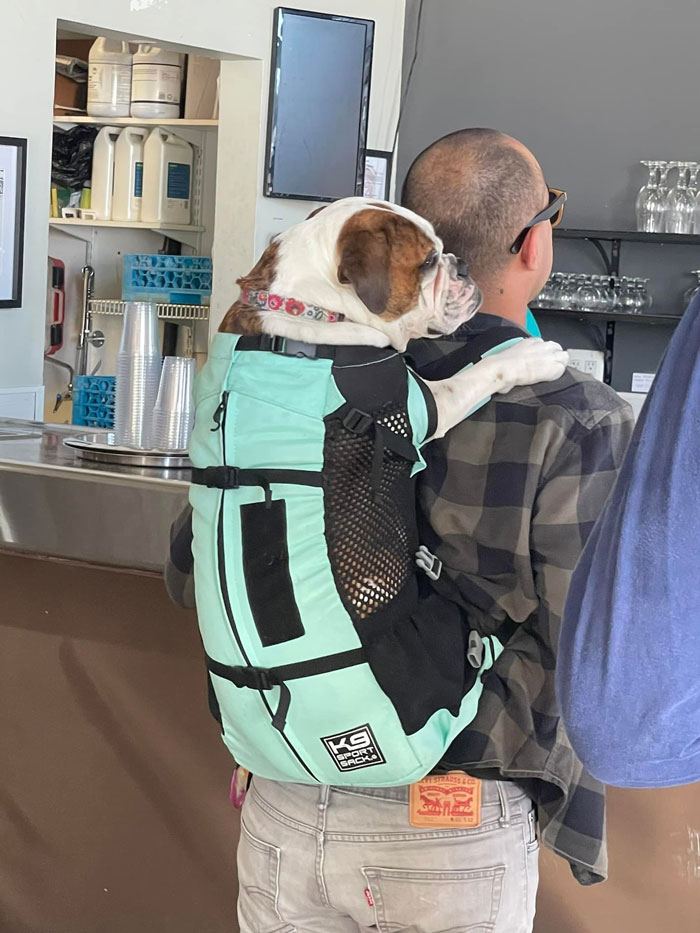 Brewery Pup Spotted Just Chillin’