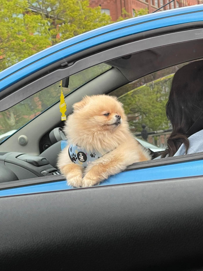 Saw This Guy Living His Best Life In Manchester, UK. 10/10 For Matching His Outfit To Dad’s Car.