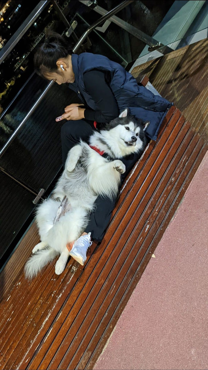 Aspiro a estar así de contento en la vida