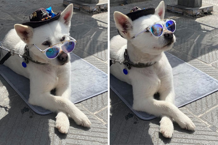 Conocí a Deangelo, el mejor chico de hoy, tan suave, tan genial