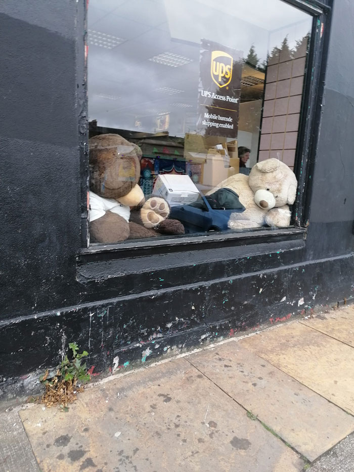 Expert Camouflage Doggo With Fluffy Friends