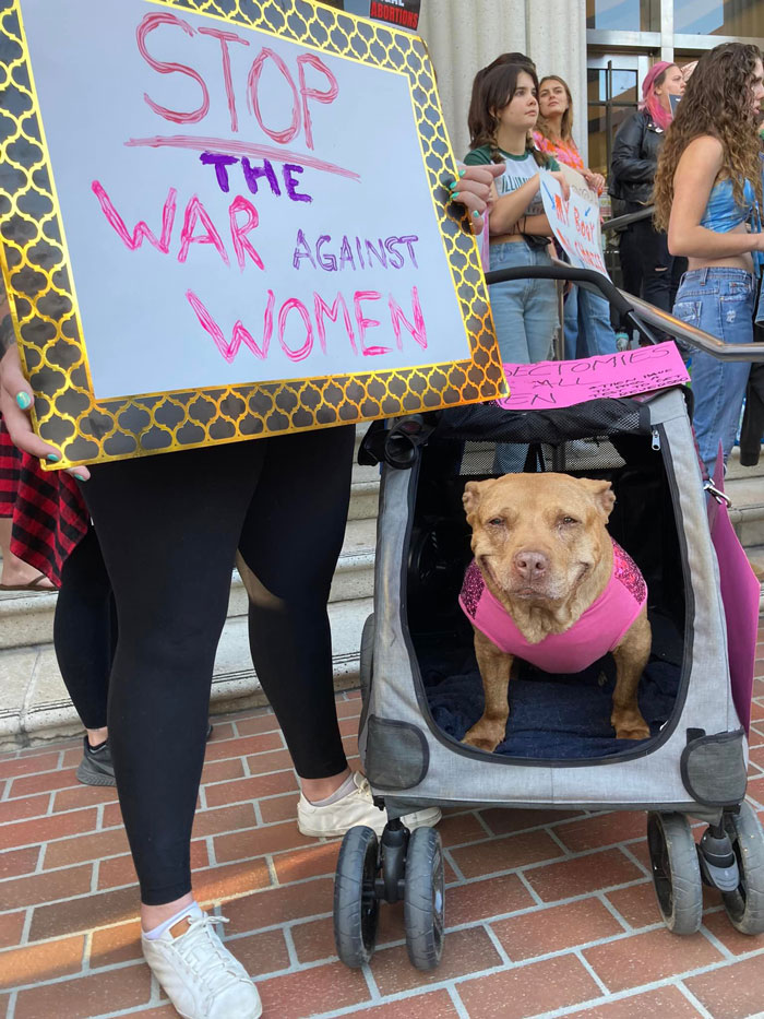 She’s Just Happy To Be Here