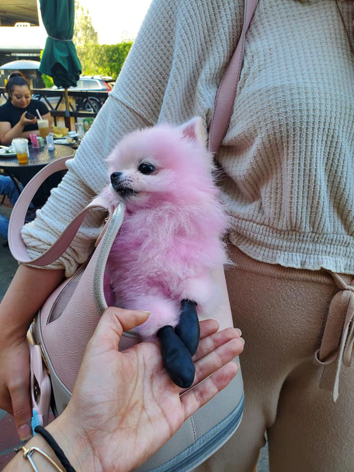 Pretty In Pink | La This Encounter Changed My Life