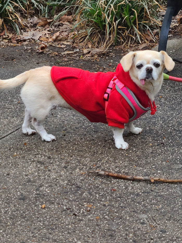 Glanced At Me For A Moment, Then Went Back To Begging His Mom For Fries