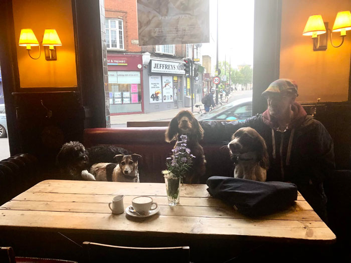Ayer vi a estos cuatro ángeles con su paseador de perros en el pub. Aparentemente se sientan con él todos los días mientras se toma un café y lee el periódico. Mi corazón apenas pudo soportarlo