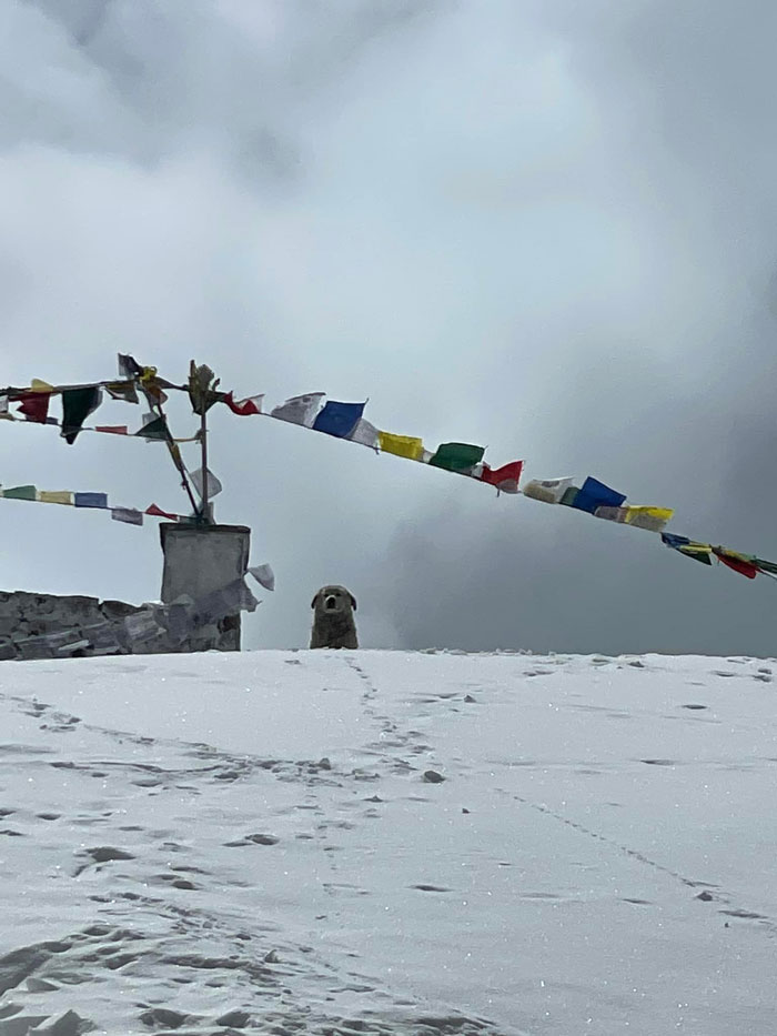 ¡Vigilando a más de 5.425 metros de altura!