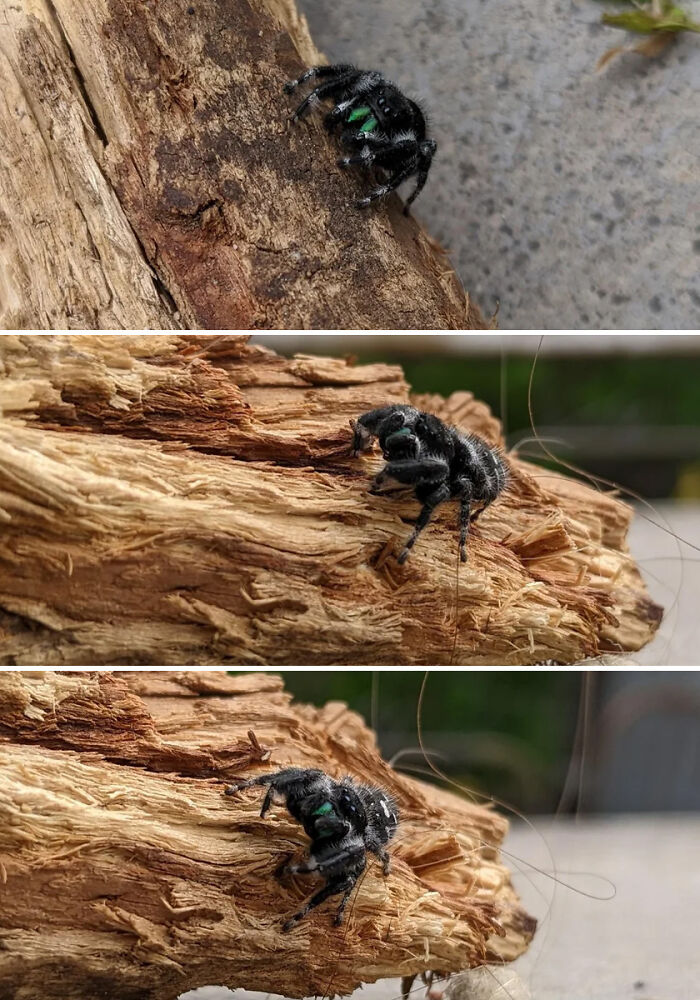 Did A Little Photo Shoot With A Friend