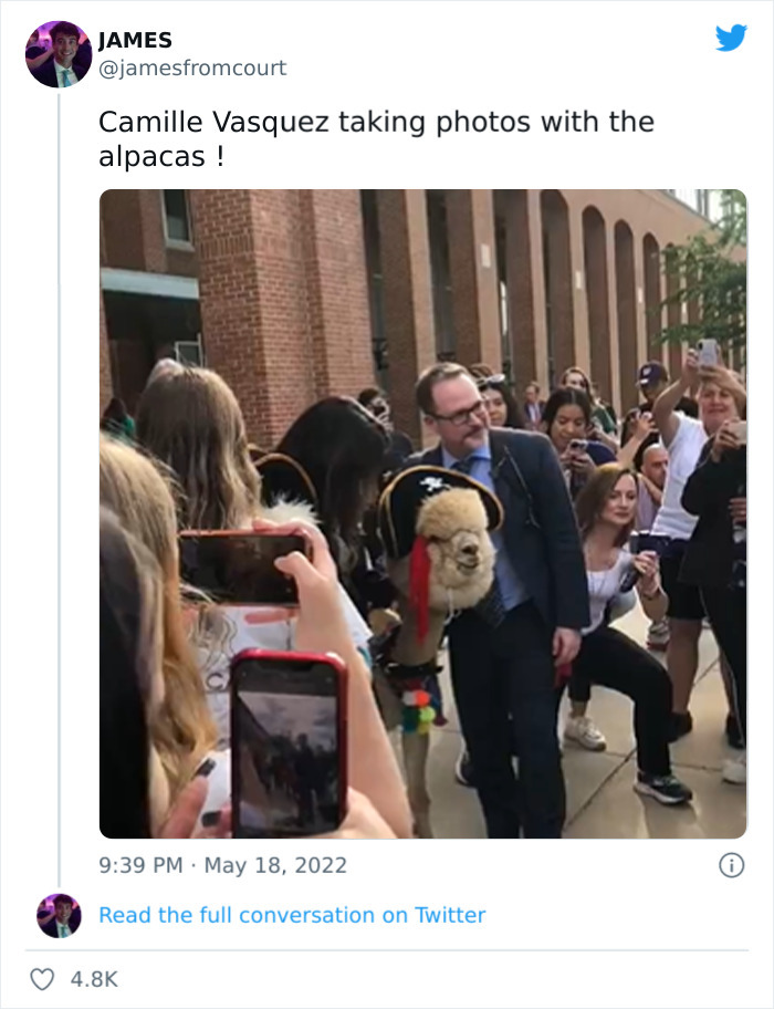 Camille-Vasquez-Appreciation-Tweets