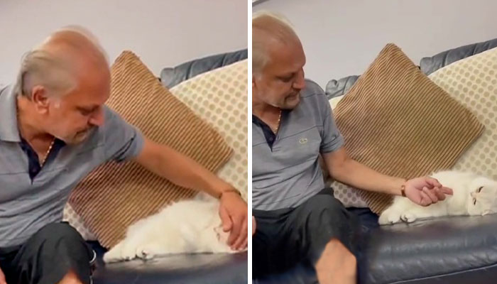 Dad Who Dislikes Cats Became Obsessed With The One His Son Brought Home, Now They’re Inseparable