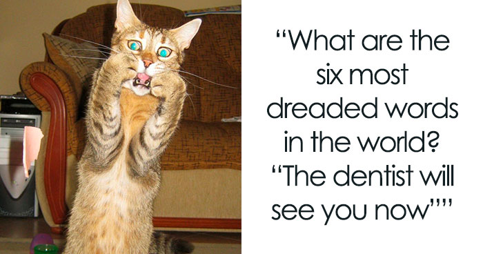 147 Dental Jokes That Will Make You Grin