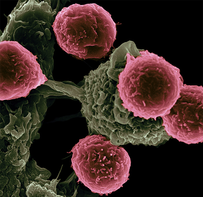 Close-up microscopic image of human cells showing the disturbing details of human bodies on a cellular level.