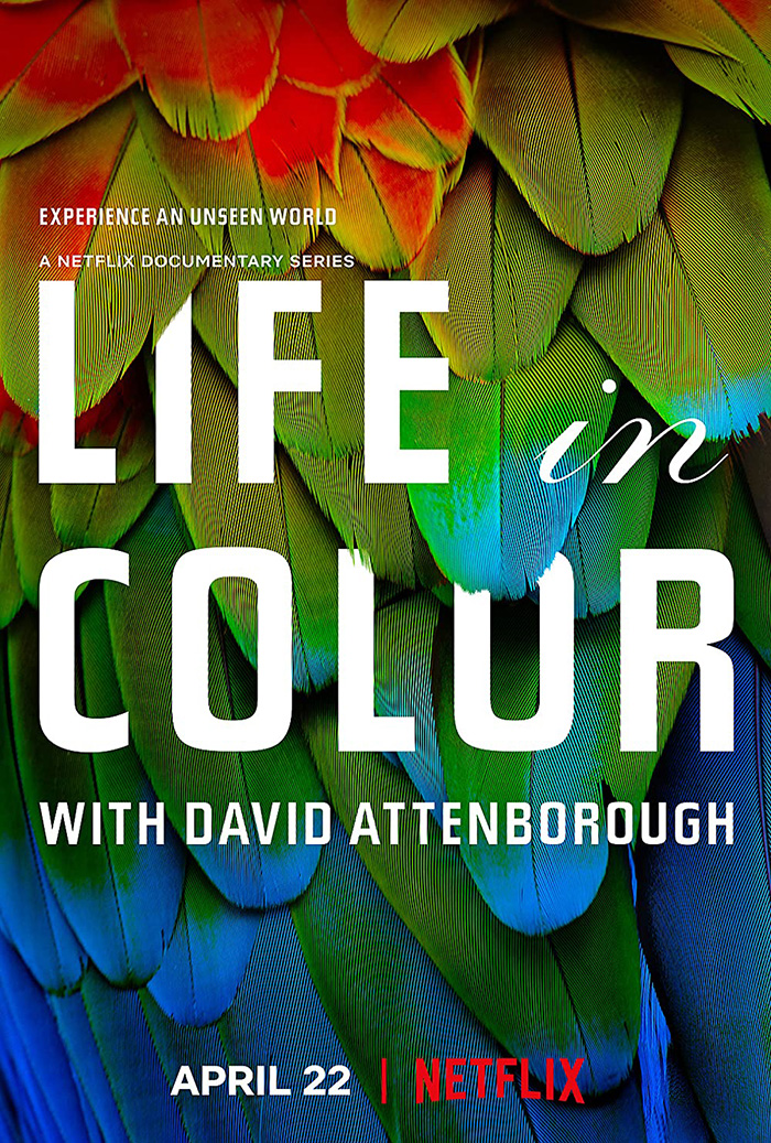 Movie poster for "Life In Color With David Attenborough"