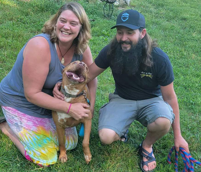 Married Couple Wake Up To Find A Mystery Dog Sleeping In Their Bed Married Couple Wake Up To Find A Mystery Dog Sleeping In Their Bed