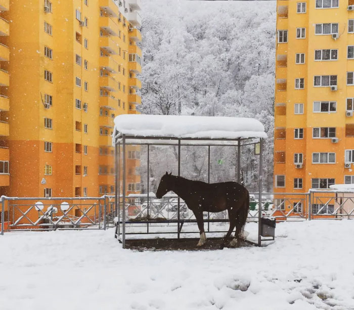 Fifth Place: Irina Egorova, Russia