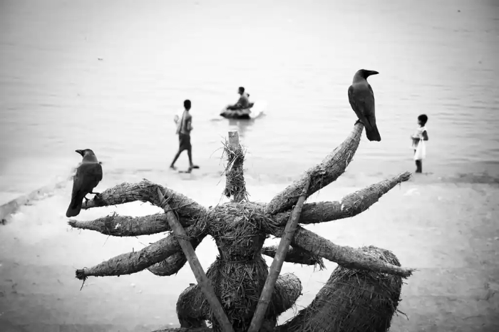 Finalist: Nivedita Dutta, India