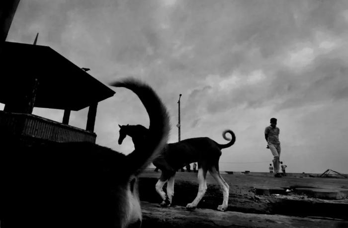 Finalist: Piyal Adhikary, India