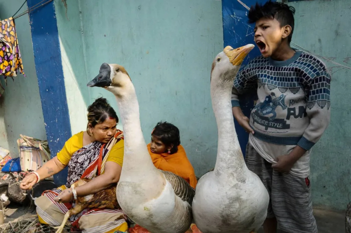 Finalist: Samrat Sur, India