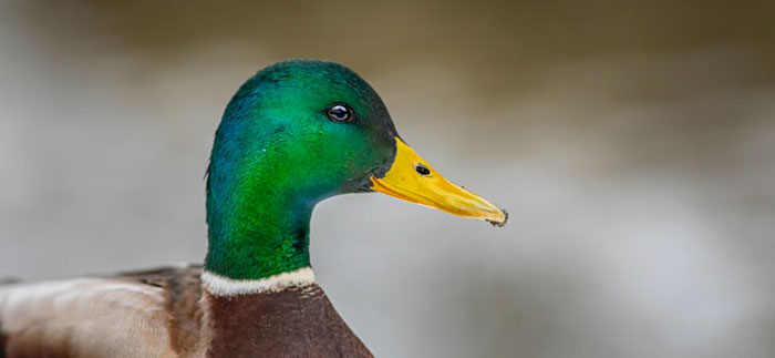 People Are Sharing 30 Things Their Teachers Did That Made Everyone Respect Them Or Had Quite The Opposite Effect