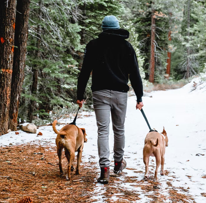 34 Pieces Of Information That Feel Illegal To Know (New Answers)