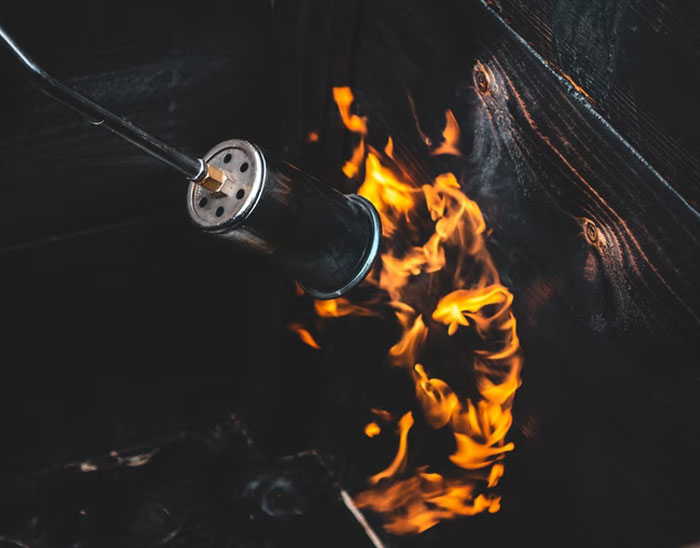 34 Pieces Of Information That Feel Illegal To Know (New Answers)