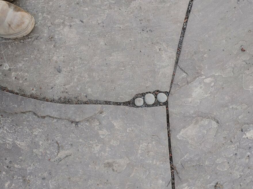 Dots Among The Flagstone Patio--These Are Right Next To The Fire Circle