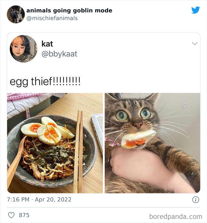 Funny-Animals-Pics-Goblin-Mode