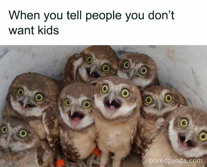 Funny-Child-Free-Humor