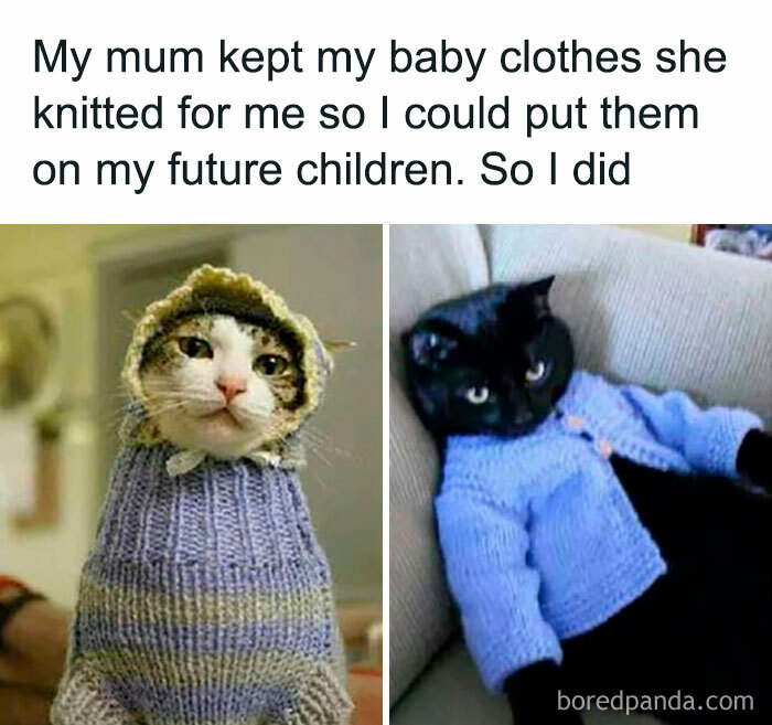 Funny-Child-Free-Humor