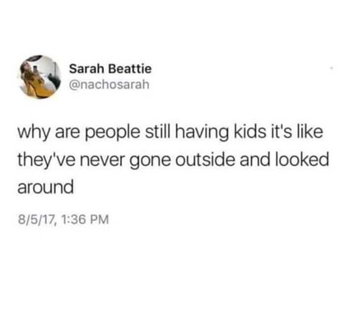 Funny-Child-Free-Humor