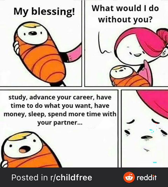 Funny-Child-Free-Humor