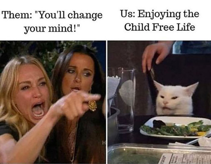 Funny-Child-Free-Humor