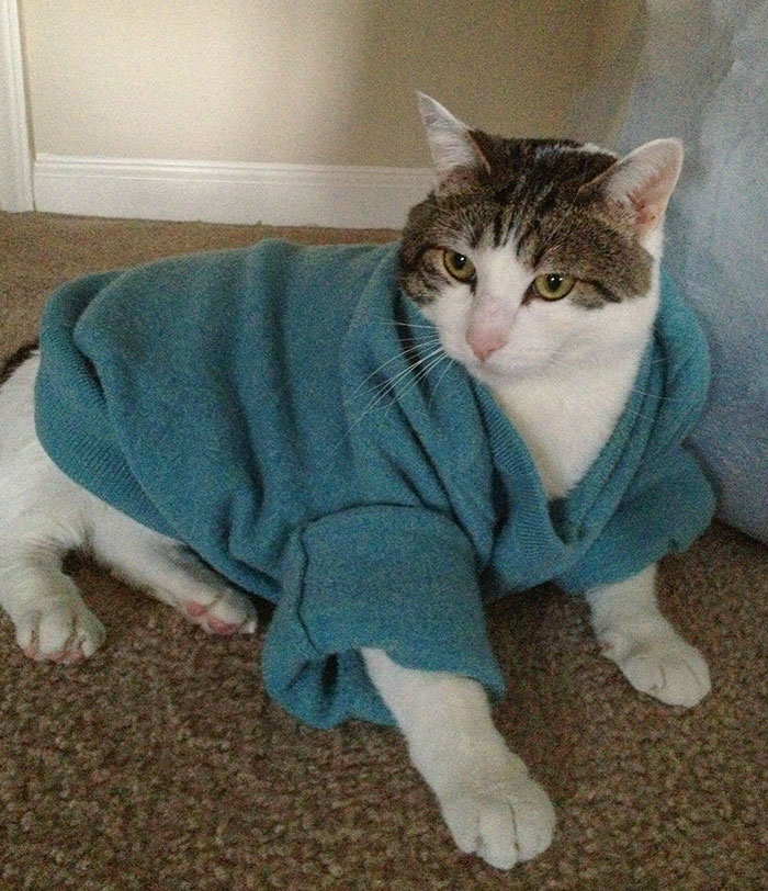 Cómo decirle a tu marido que has encogido accidentalmente su suéter de lana favorito