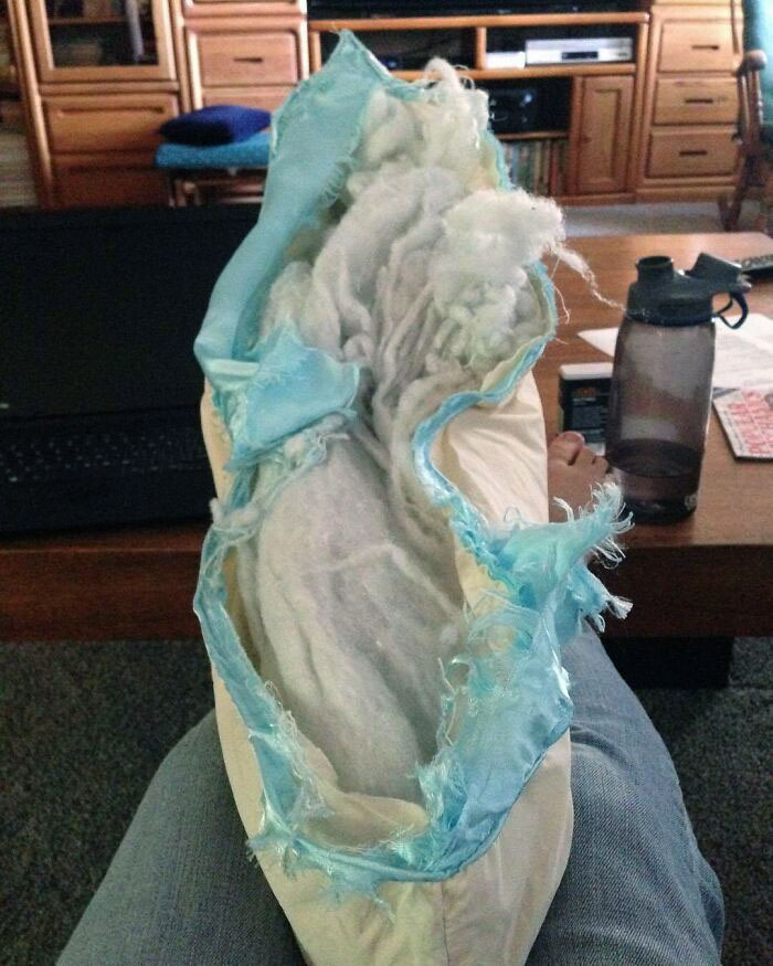 So This Is What Happens When You Wash An Older Pillow. My Pillow Washed Fine, And This Pillow Is My Husband's. Do I Pull Out The Sewing Machine, Hand Sew It Or Give Up?