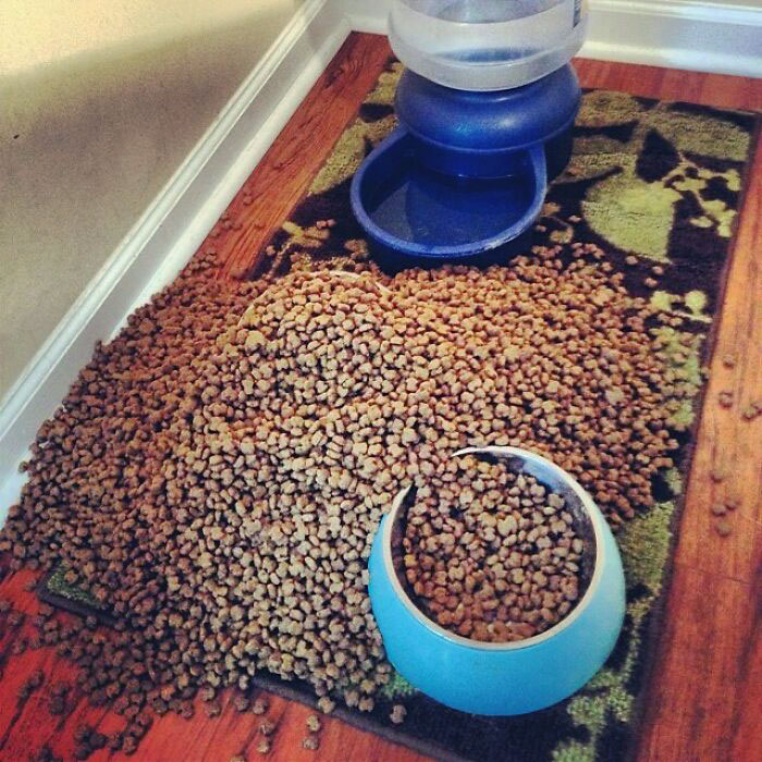 Truckload Of Fail Right Here 