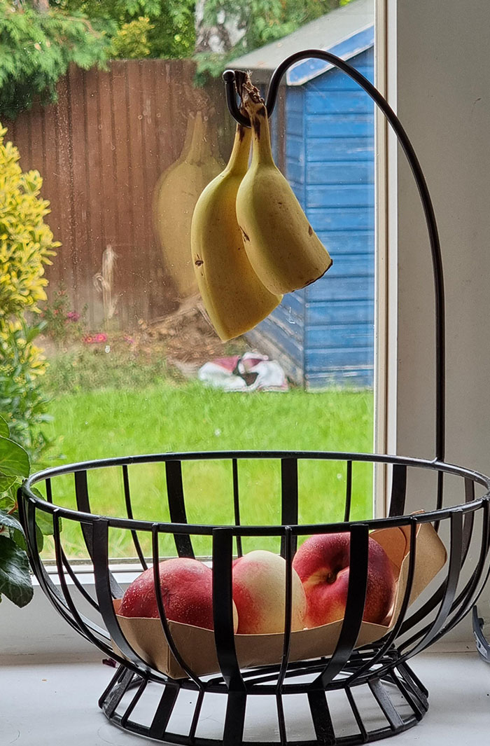 My Lunatic Wife Cuts Bananas In Half And Just Leaves The Top