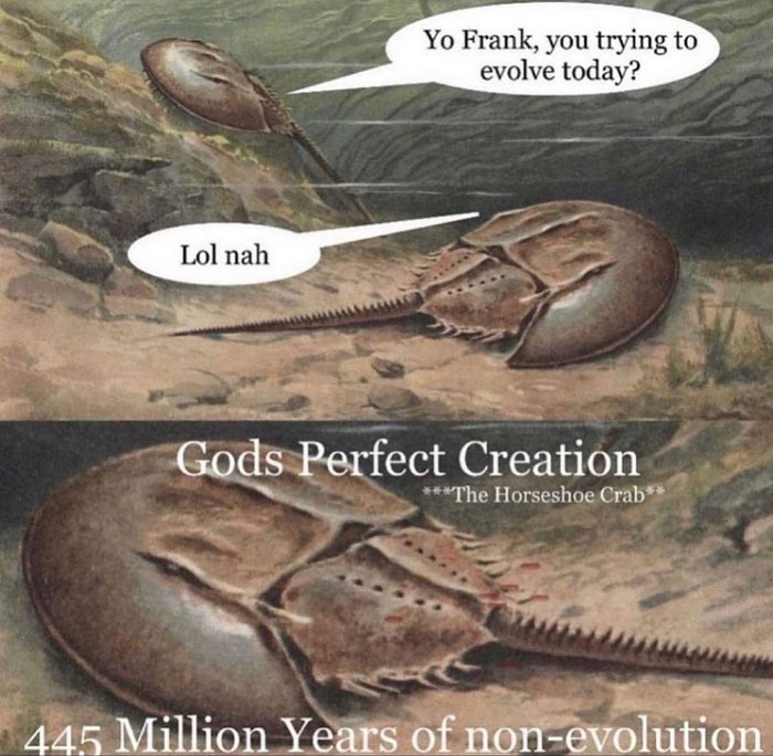 Frank Doesn’t Wanna Pay Taxes 5w