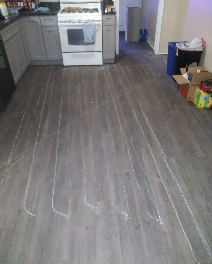 I'm Doing Renovations And My Roomba Found A Tiny Piece Of Sheetrock