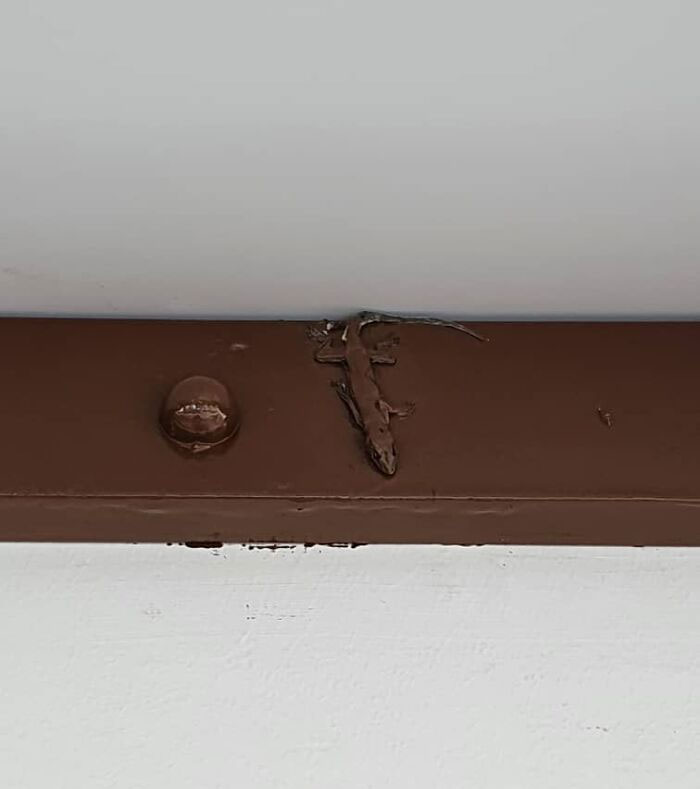 The Construction Workers Painted Over A Lizard On Our Awning